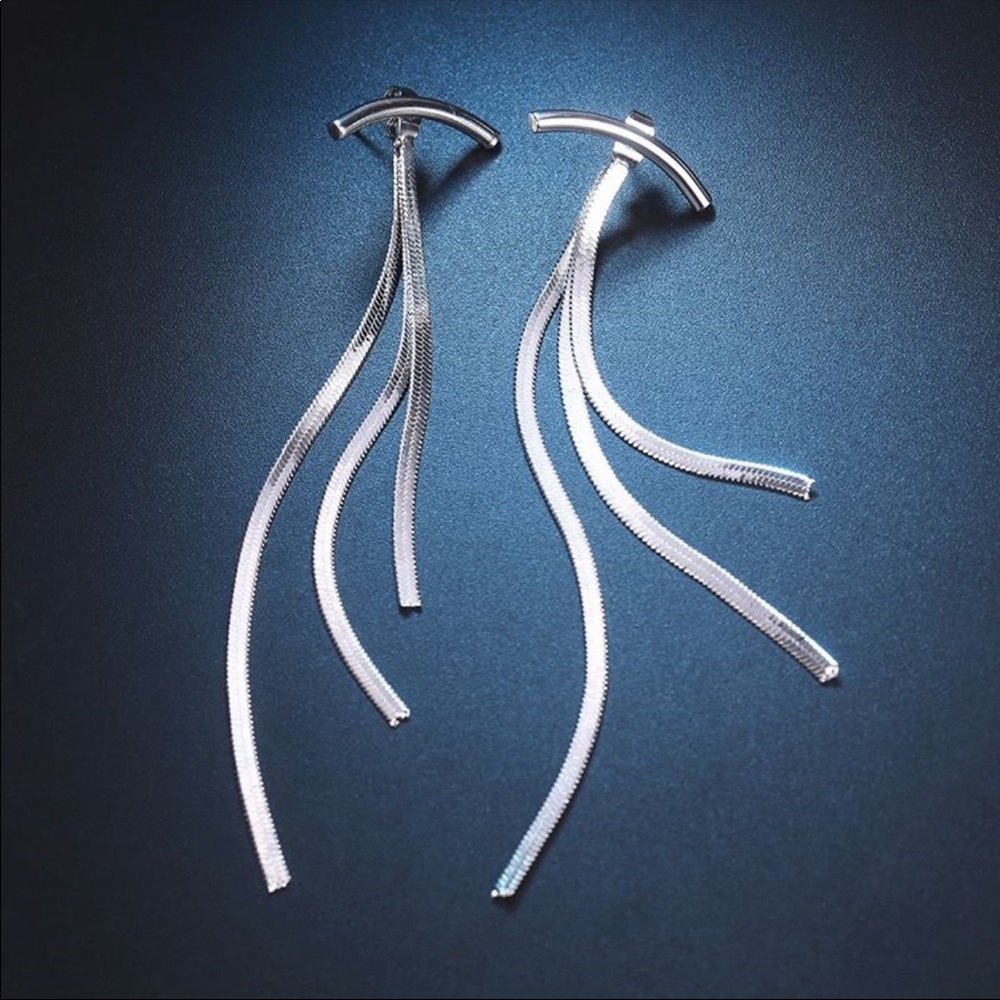 New Silver Bar Long Tassel Earrings - Picture 4 of 7
